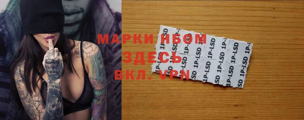 шишки Алексин
