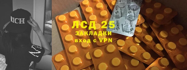 шишки Алексин