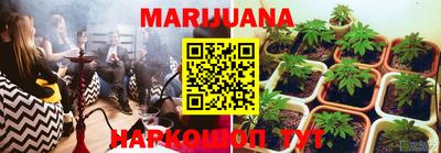 PSILOCYBIN Моздок